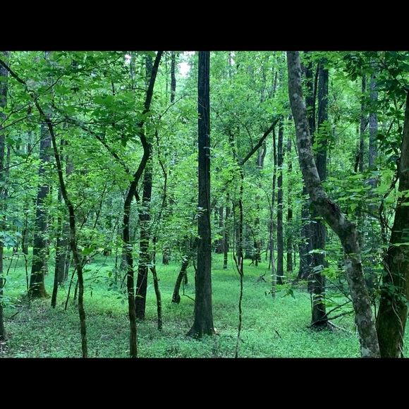 Meet your Posher, Chloe - Picture 1 of 1